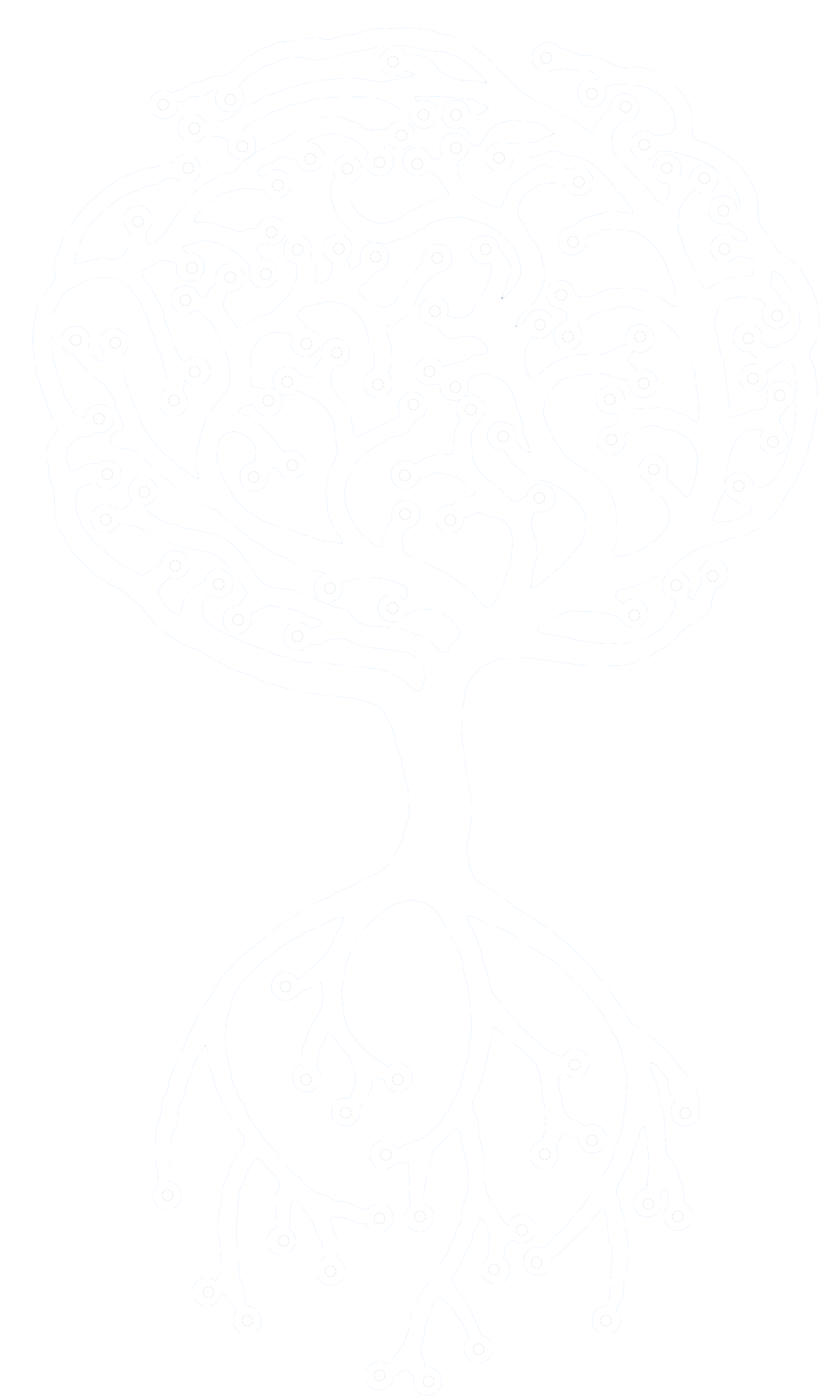 brain-tree-logo-white